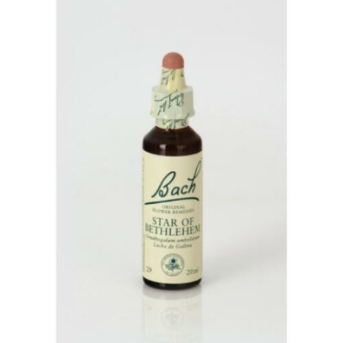 flores bach BACH 29 STAR OF BETHLEHEM (ESTRELLA DE BELEN) 20ML