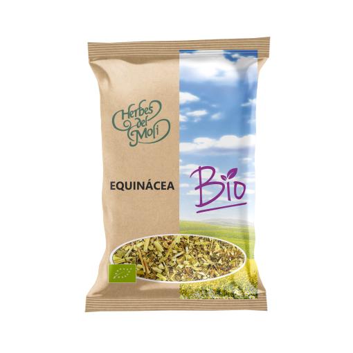 plantas en bolsa EQUINACEA RAIZ 60GR ECO