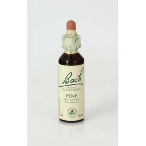 flores bach BACH 24 PINE (PINO SILVESTRE) 20ml