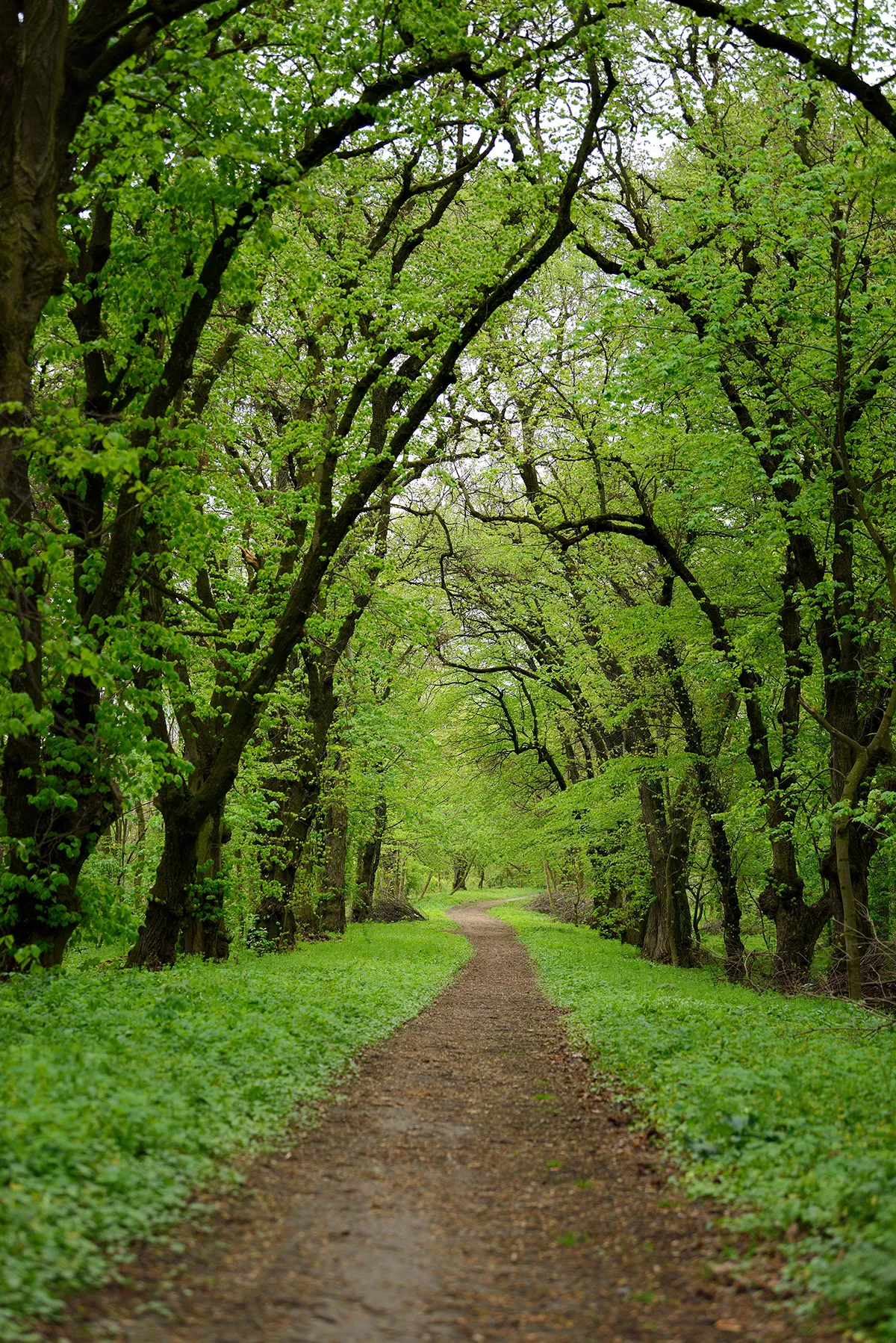 sendero interior